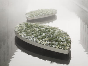 Stimmungsvolle Fotografie von zwei linsenförmigen metallenen Pflanzgefäßen an einem nebligen Morgen