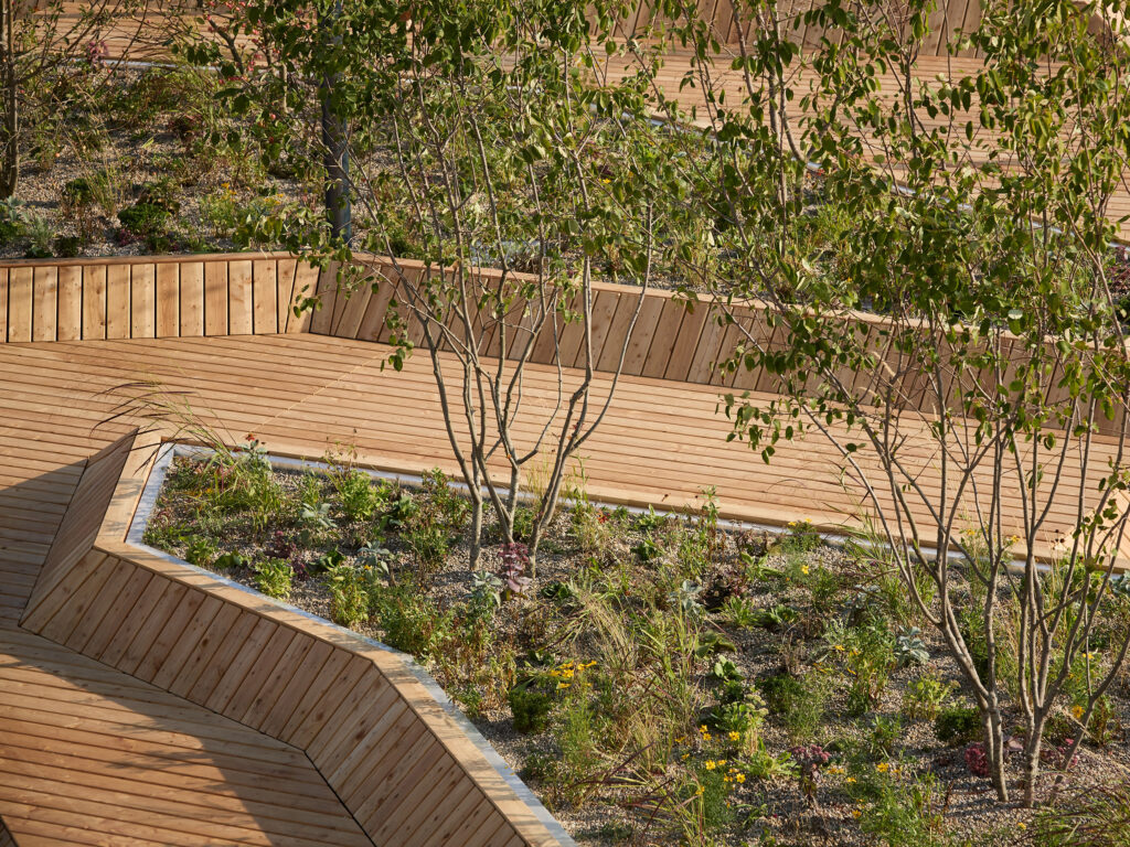 Holzdecks mit dazwischen liegenden Pflanzgefäßen in einer modernen landschaftsarchitektonischen Formensprache
