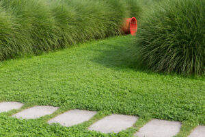 Landschaftsarchitektonisches Detail mit Scherrasen, Gräsern, Trittplatten und einem roten Kunststoffrohr