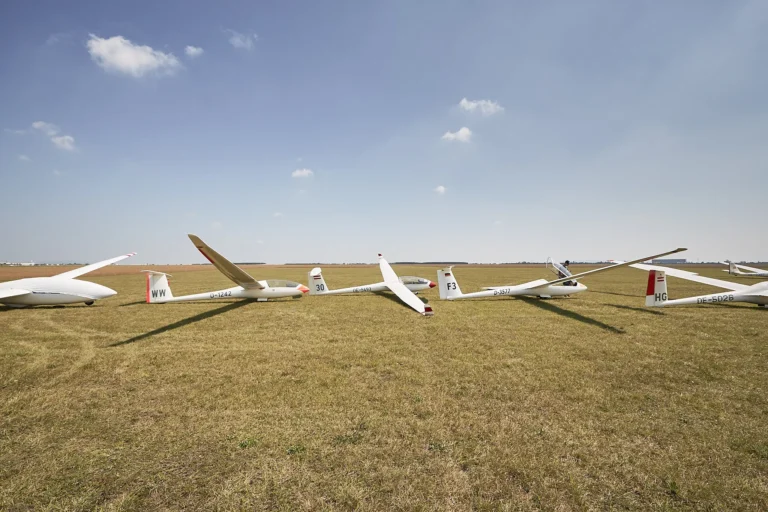 Mehrere schlanke, weiß schimmernde Segelflugzeuge liegen Seite an Seite auf einer sonnengetrockneten Wiese, die sich bis zum fernen Horizont streckt, darüber ein weiter, fast wolkenloser Himmel.